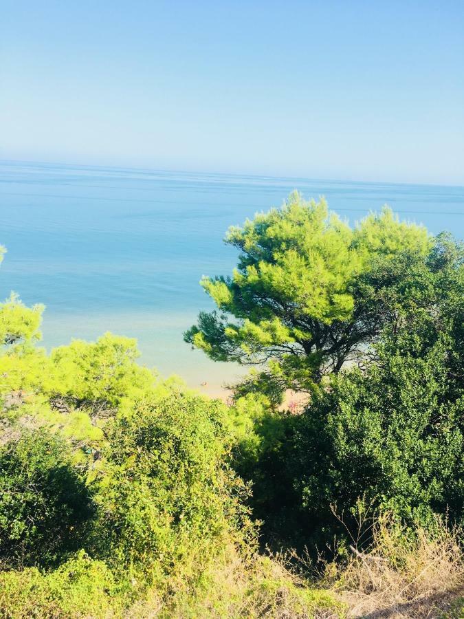 Casa Michela Villa Vico Del Gargano Dış mekan fotoğraf