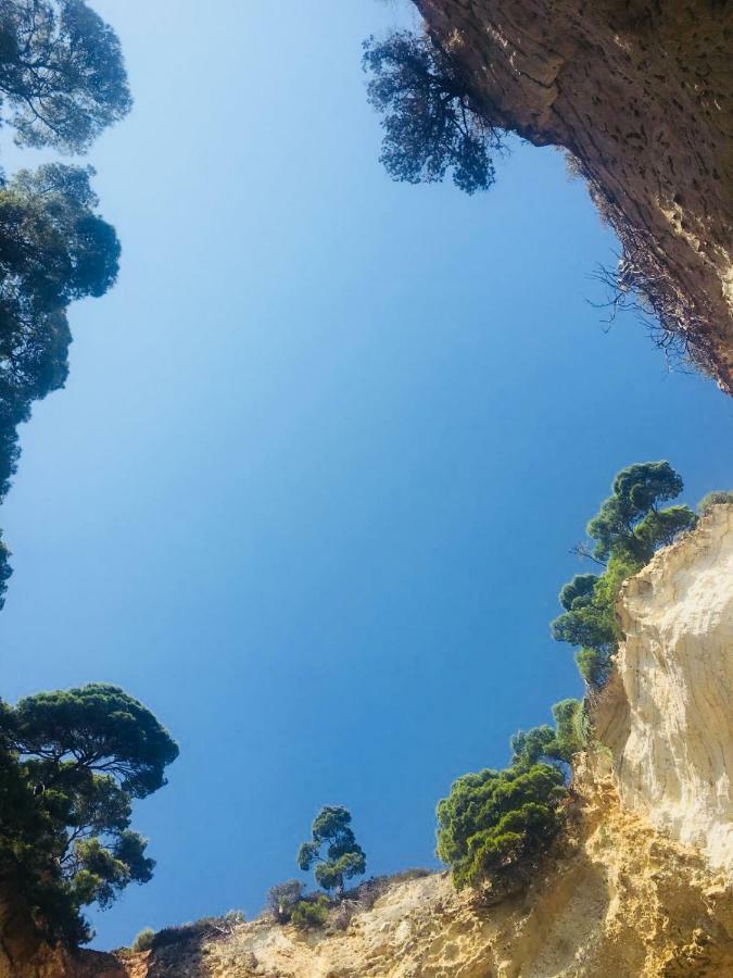 Casa Michela Villa Vico Del Gargano Dış mekan fotoğraf
