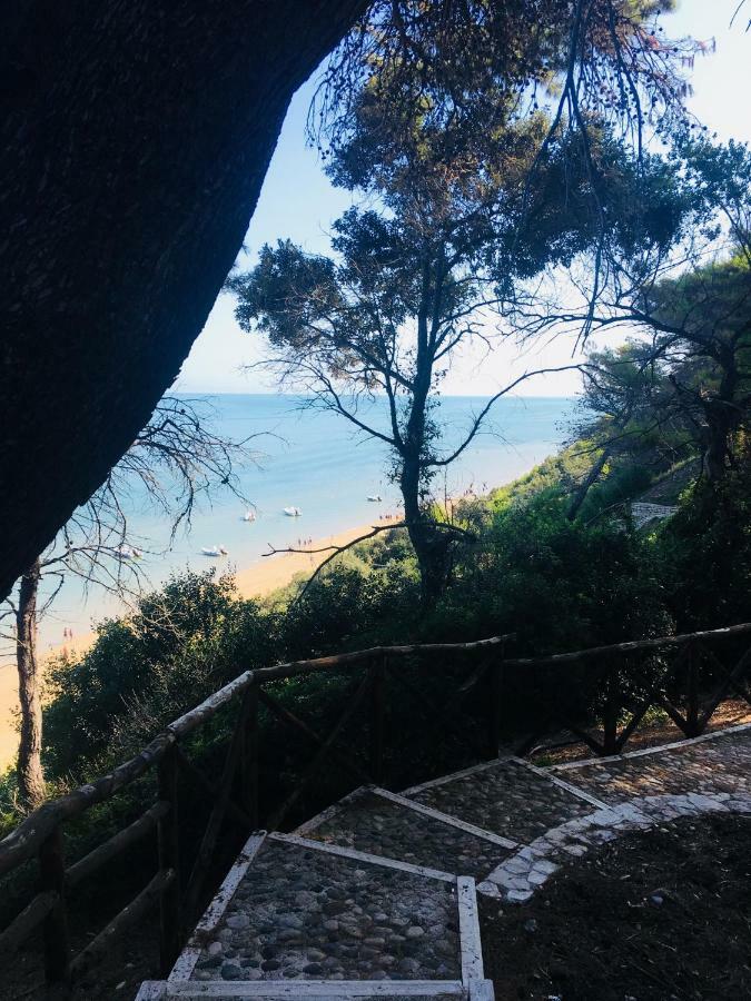 Casa Michela Villa Vico Del Gargano Dış mekan fotoğraf
