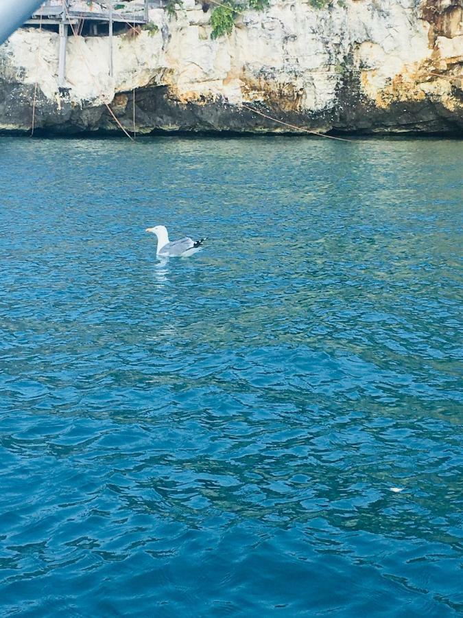 Casa Michela Villa Vico Del Gargano Dış mekan fotoğraf