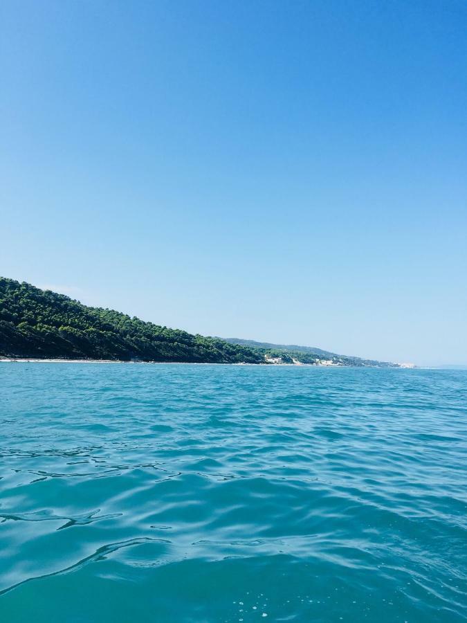 Casa Michela Villa Vico Del Gargano Dış mekan fotoğraf