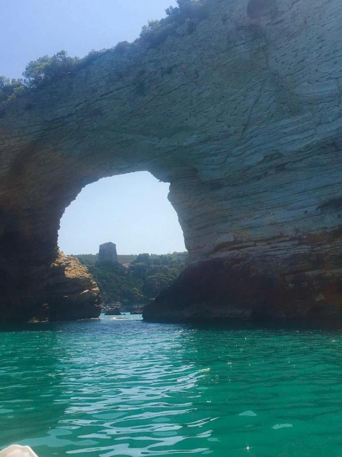 Casa Michela Villa Vico Del Gargano Dış mekan fotoğraf