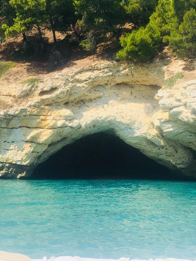Casa Michela Villa Vico Del Gargano Dış mekan fotoğraf
